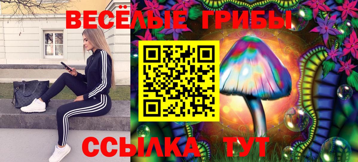 Галлюциногенные грибы Psilocybe  Вход с VPN  Шебекино 