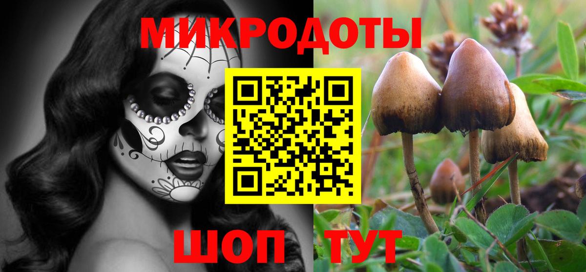 Псилоцибиновые грибы MAGIC MUSHROOMS Шебекино
